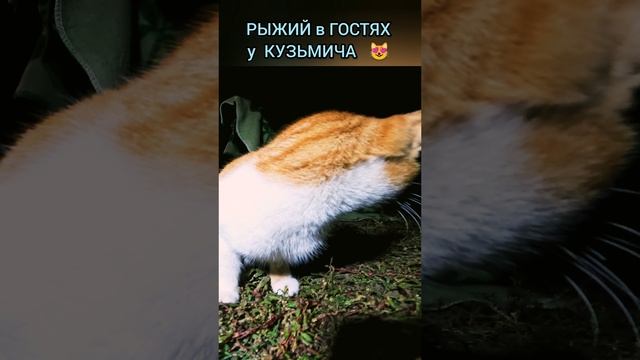 Рыжий в гостях у КУЗЬМИЧА