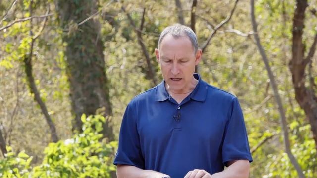 Kerk Kamp, Wat is ware Christenskap - Verskeie Skrif смотреть онлайн