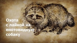 Охота с лайкой на енотовидную собаку