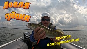 Ловля судака. Яузское водохранилище.