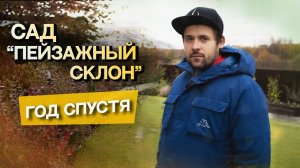 Сад  _Пейзажный склон_ _ ГОД спустя!
