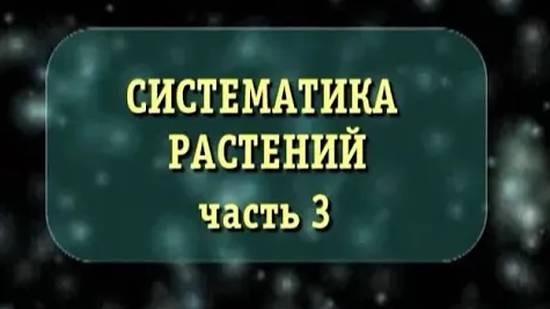 Систематика растений # 3. Семейства крестоцветных, розоцветных и бобовых