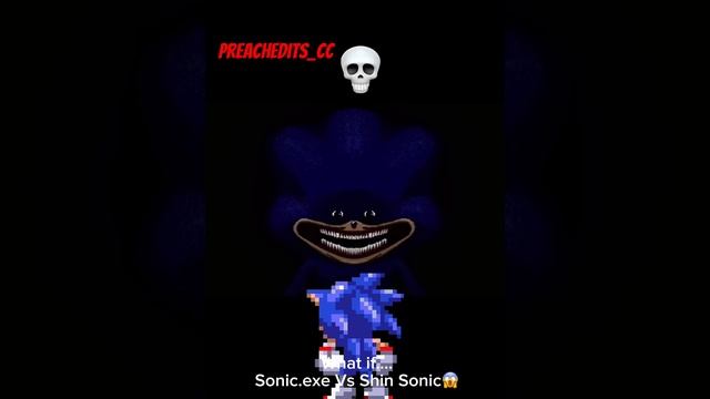 shin sonic edit