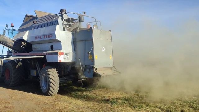 Куда девать зерно? Закончили уборку, продуваем комбайн для хранения. смотреть онлайн