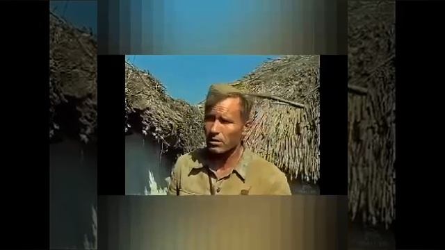 Очень сильное видео .