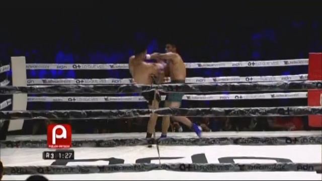 Raúl (el Doberman) Rosales vs Roberto (El ladrillo) González смотреть онлайн