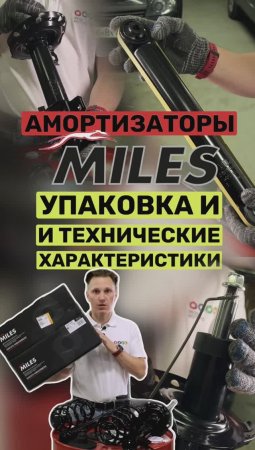 Подробный обзор амортизаторов Miles. Стоит ли их брать?