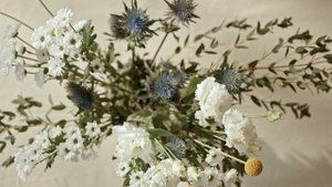 4272430-uhd_4096_2160_25fps