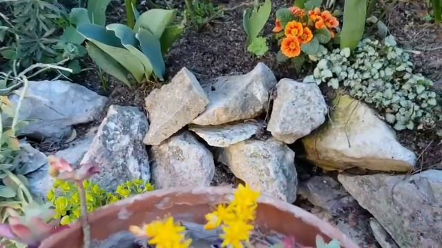 Отдохните душой/Немного весенней нежности и красоты/В саду у Прованс-Аллочки