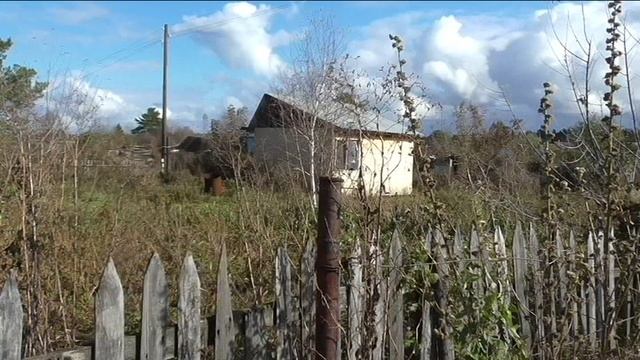 Как я купил соседний садовый участок семь лет назад