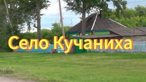 Небольшое село Кучаниха в Тогучинском районе Новосибирской области. Деревни Новосибирской области.