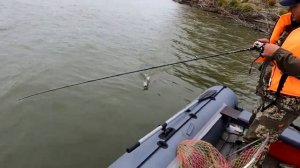 Рыбалка. Ловля щуки в октябре 2024. Поехали с Мишей на Обь