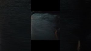 VID_20241008_124210.mp4