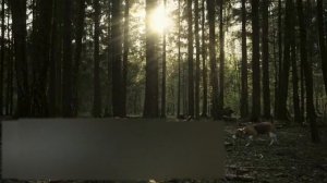 Автомобильная палатка Artelv Roof Tent R