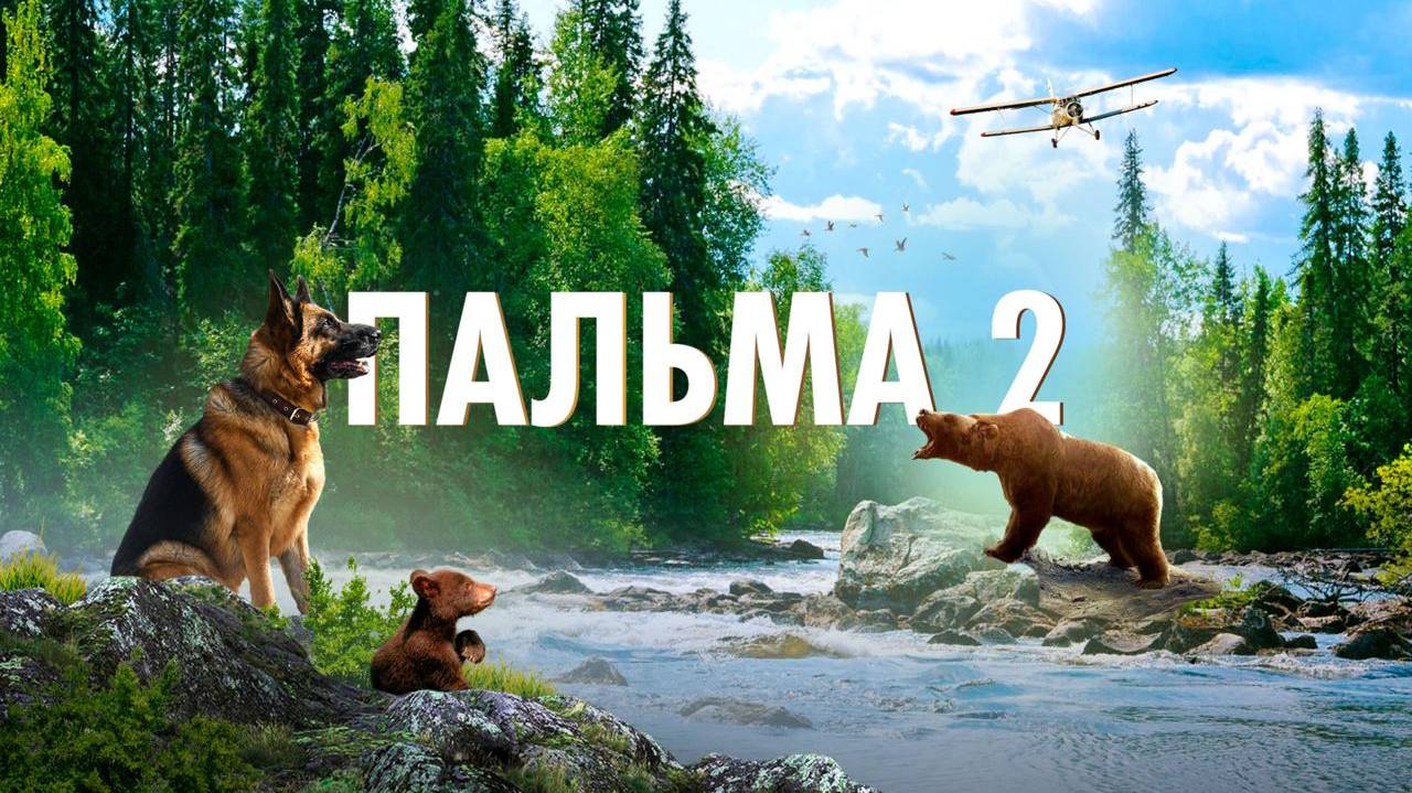 Пальма 2