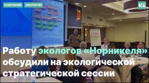 Работу экологов «Норникеля» обсудили на экологической стратегической сессии