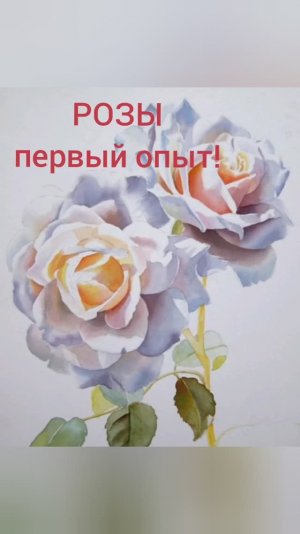 Розы - первый опыт!
