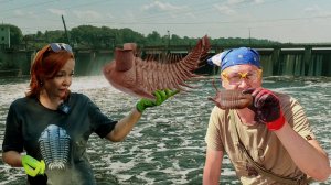 В ПОИСКАХ ТРИЛОБИТОВ | Ищем трилобитов, на берегу р. Волхов. Процесс препарации трилобитов.