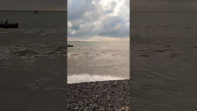 #река #море #природа #mychannel #myvideo #beautiful #стихия #василисаголд #шортс
