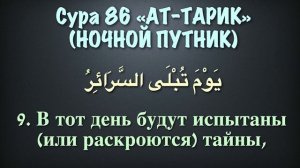 Сура 86 ат-Тариг (арабские и русские титры) - Мухаммад Люхайдан