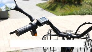 Электровелосипед трёхколёсный Green City e ALFA Trike