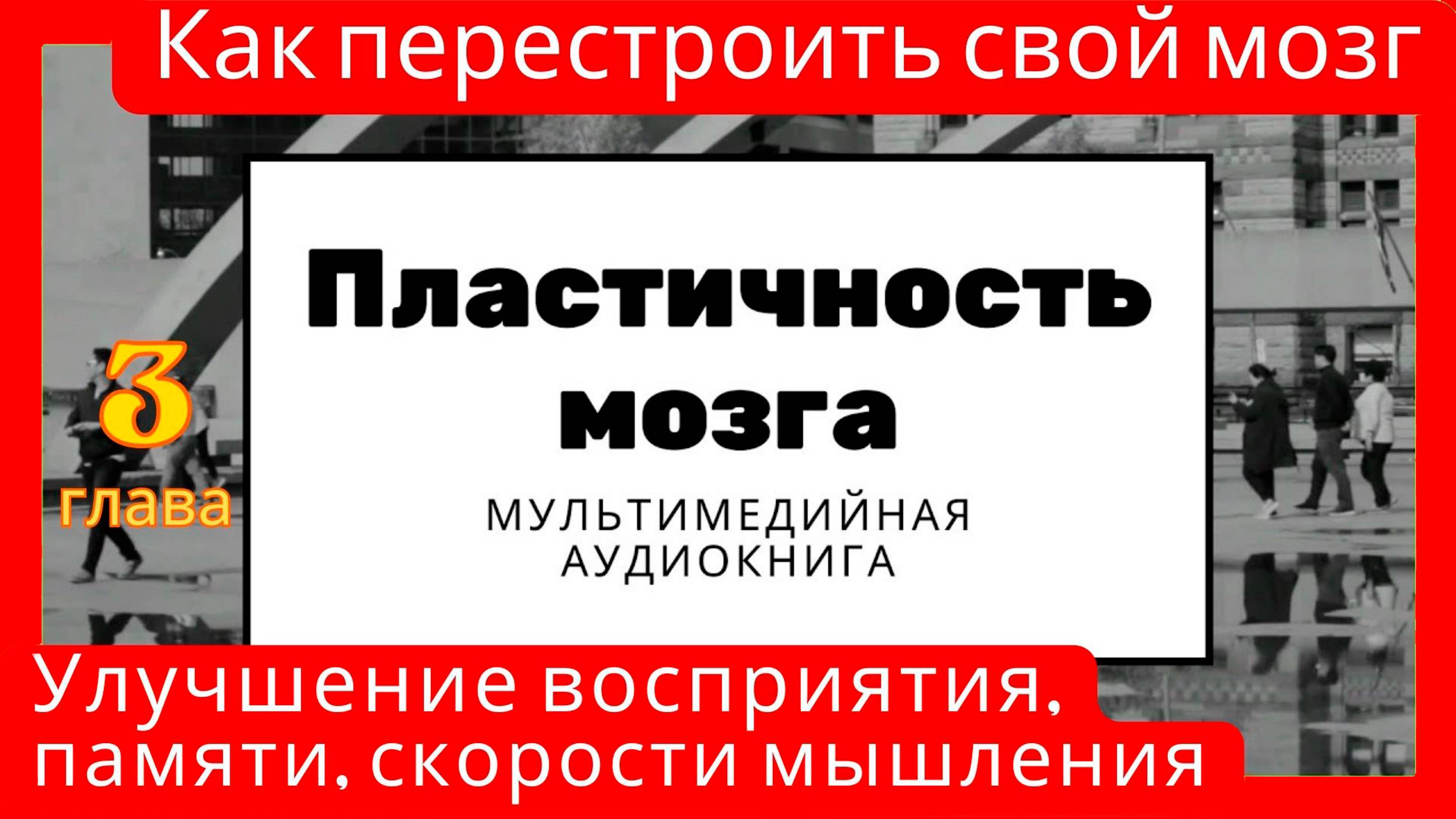 Пластичность мозга. Как перестроить свой мозг. Улучшение восприятия и памяти, скорости мышления.