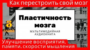 Пластичность мозга. Как перестроить свой мозг. Улучшение восприятия и памяти, скорости мышления.