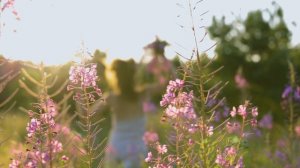 9153882-uhd_4096_2160_30fps