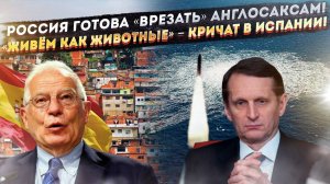 США и Британия рискуют «выхватить» за газопроводы! «Цветущий сад» Борреля стал трущобами без света!