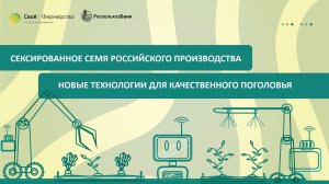 Сексированное семя российского производства: новые технологии для качественного поголовья