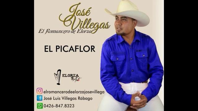 Jose Luis Villegas - El Picaflor смотреть онлайн