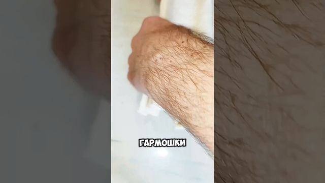 запеканка из лаваша