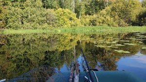 В глухой тайге совершенно один, путешествие по протоке Немич.