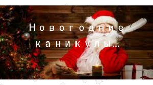 Новогодние каникулы в городе.