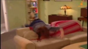 25  Conversation 25 _ Funny English _ Everyday English