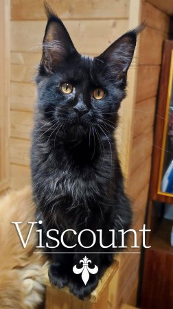 Viscount Dark Flame