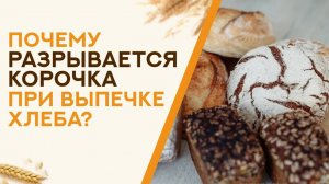 Почему при выпечке у хлеба РАЗРЫВАЕТСЯ КОРОЧКА? Виды подрывов