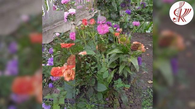 Танец цветов смотреть онлайн