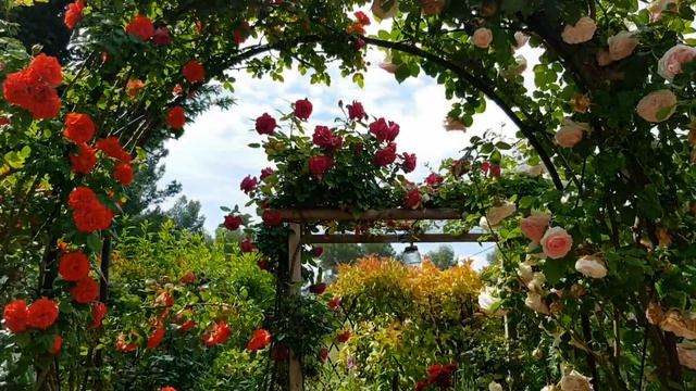 К СЕЗОНУ ГОТОВЫ И КАК ВСЕГДА ДЕЛА НАСУЩНЫЕ