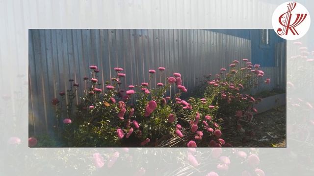 Видео – презентация «Благоустройство- 2023 год» сельское поселение Демкинский сельсовет смотреть онлайн