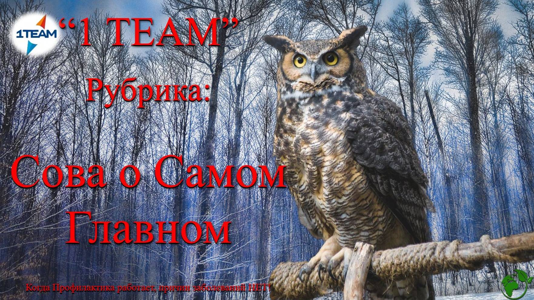 Сова о Самом Главном. Ягурин Ново - Лечение и профилактика вируса гепатита С. В. Полюдов. 15.02.2024