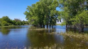 Сарпинский 2024