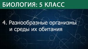 Биология 5 класс: Разнообразные организмы и среды их обитания