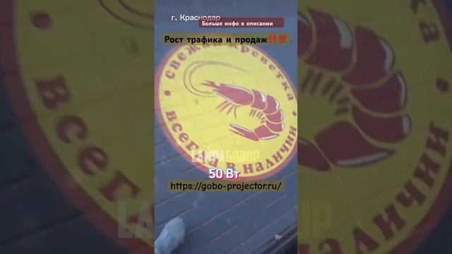 Внимание! Креветки! Проекционная реклама - мощный инструмент для роста продаж!  #гобо-проектор