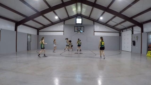 2021 PG Caroline Harris, Arkansas Sting Highlights May 2nd, 2020 смотреть онлайн