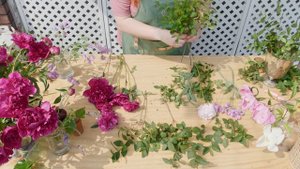 8279677-uhd_3840_2160_24fps