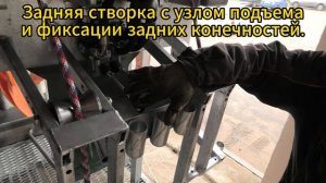 Животноводческий фиксирующий станок Гидра (станок для обработки копыт)