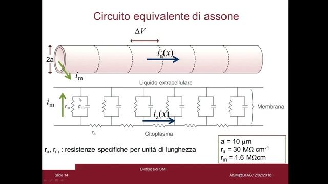 Francesca Grassi смотреть онлайн