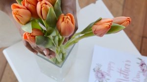 7351116-uhd_4096_2160_30fps