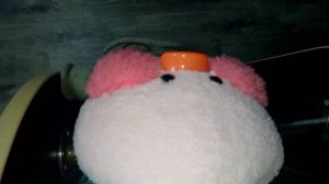 Сделала Самодельный КВЕСТ для уточки Милки!
какой Сквиш Найдёт Милка?